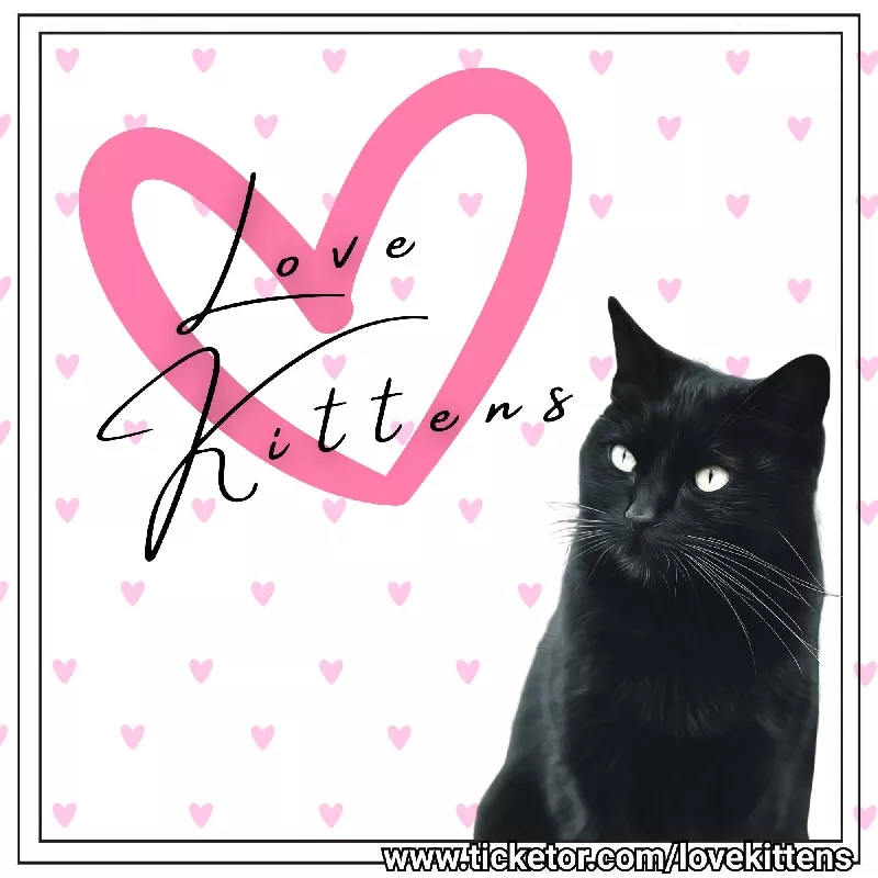 Love Kittens