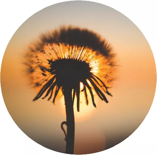 Positive End Of Life Network G image