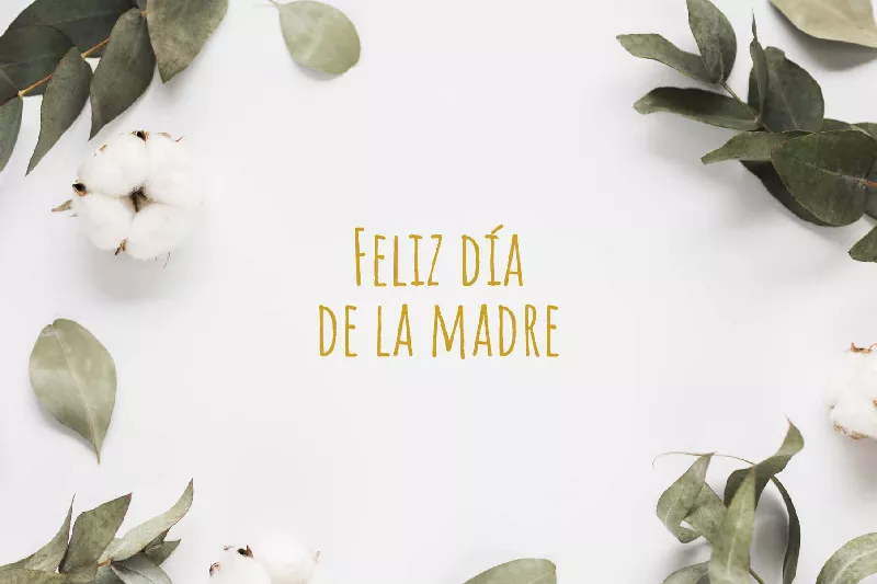 Obtener información y comprar entradas para Presentación Día de las Madres Preescolar en Diseñadora.