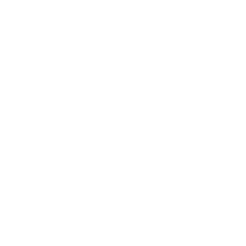 MEDITERRANEO TOURS image