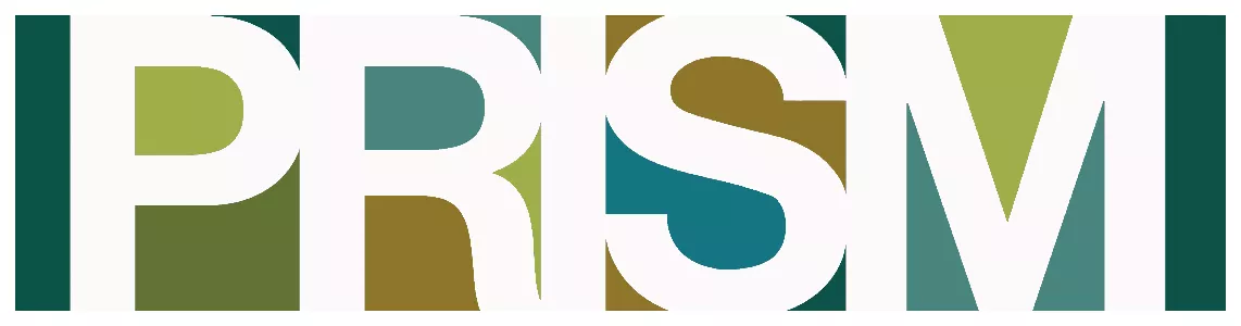 PRISM CONTEMPORARY TEXTILES image