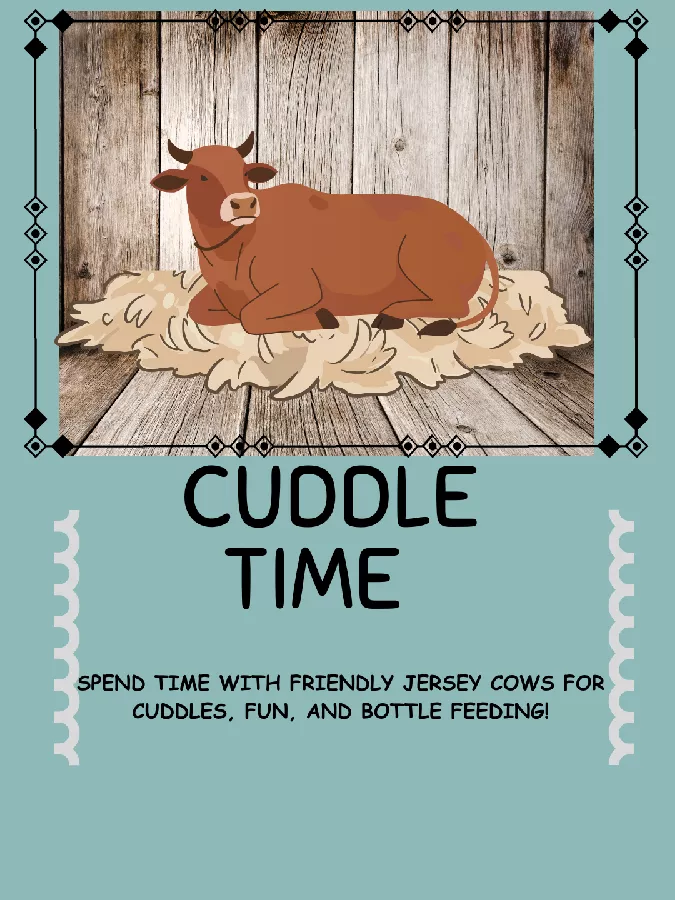 Cow Bottle Feeding