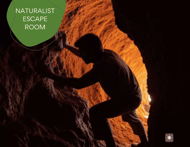 Trapped Below: Underground Escape Room Adventure at Extreme Escape San Antonio