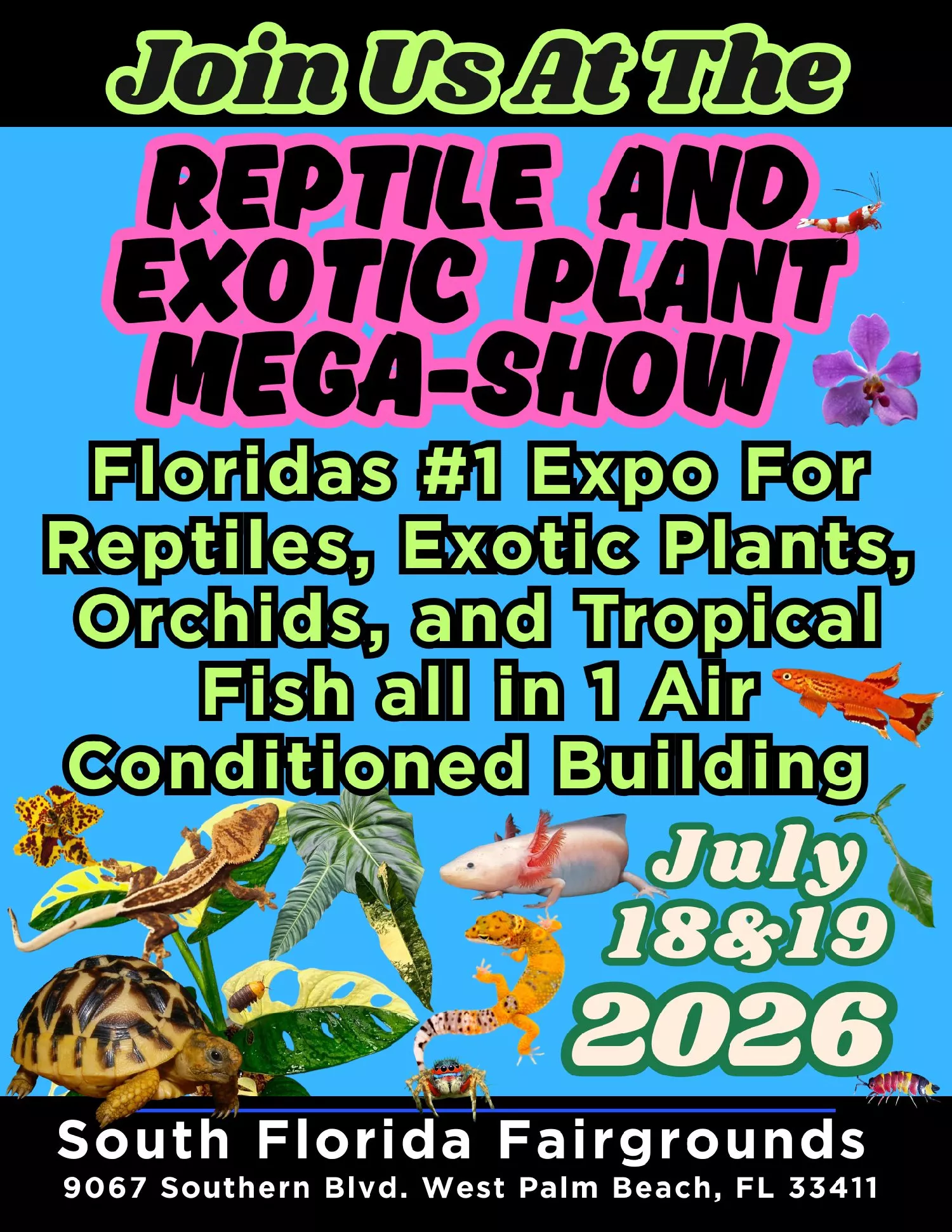 REPTILE & EXOTIC PLANT MEGA SHOW image