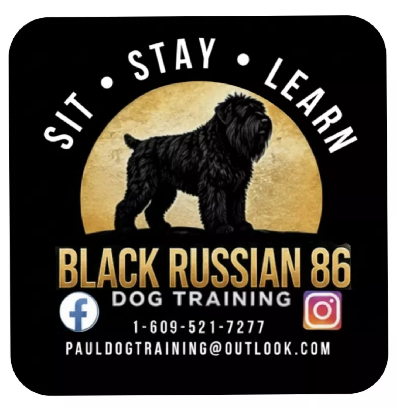 Paul Dog Training image