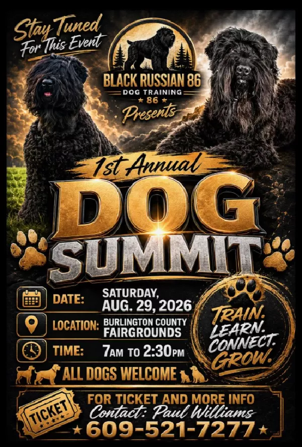 First Annual Dog Summit image