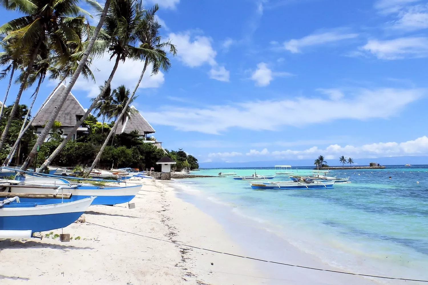 Bohol image