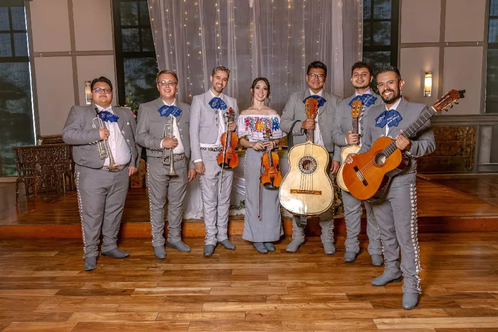 May be an image of accordion, violin, guitar and wedding