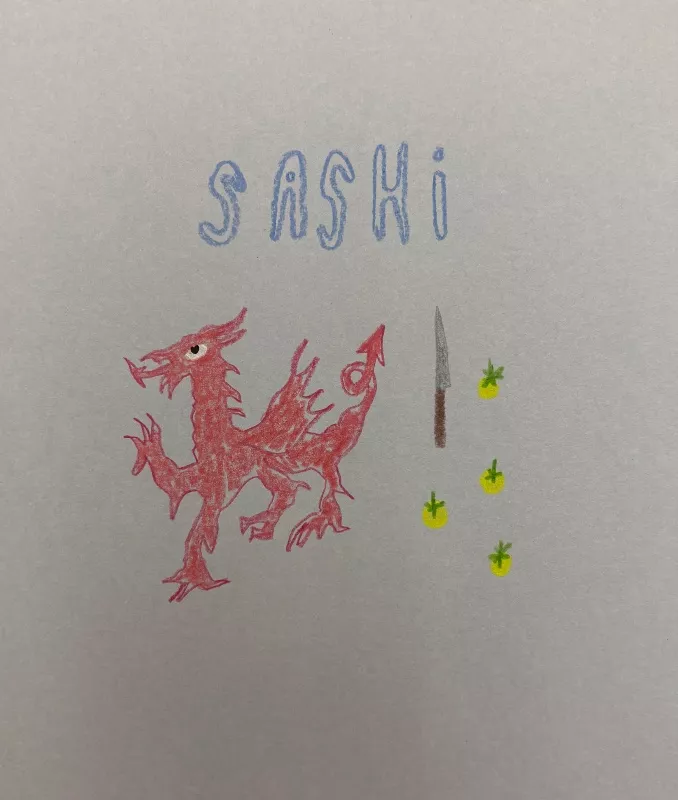 Sashi