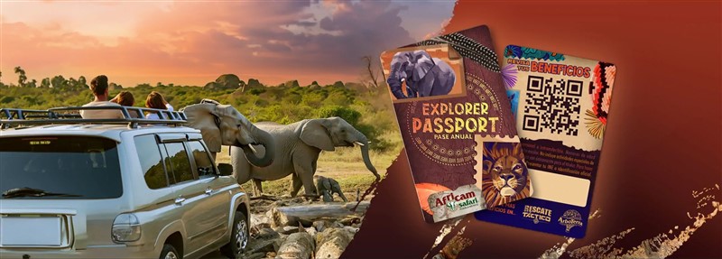 Get Information and buy tickets to package  on t40