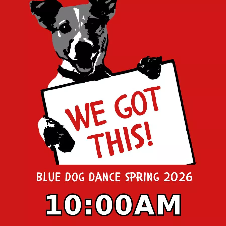 Event Flyer