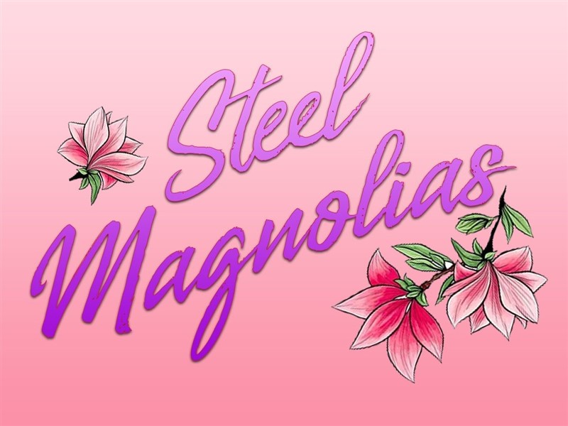 Obtenez des informations et achetez des billets pour Steel Magnolias  sur Troll Players