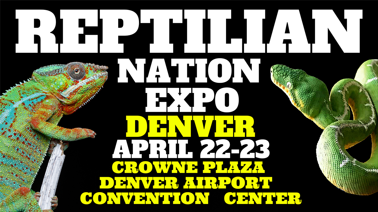 REPTILIAN NATION EXPO DENVER Information