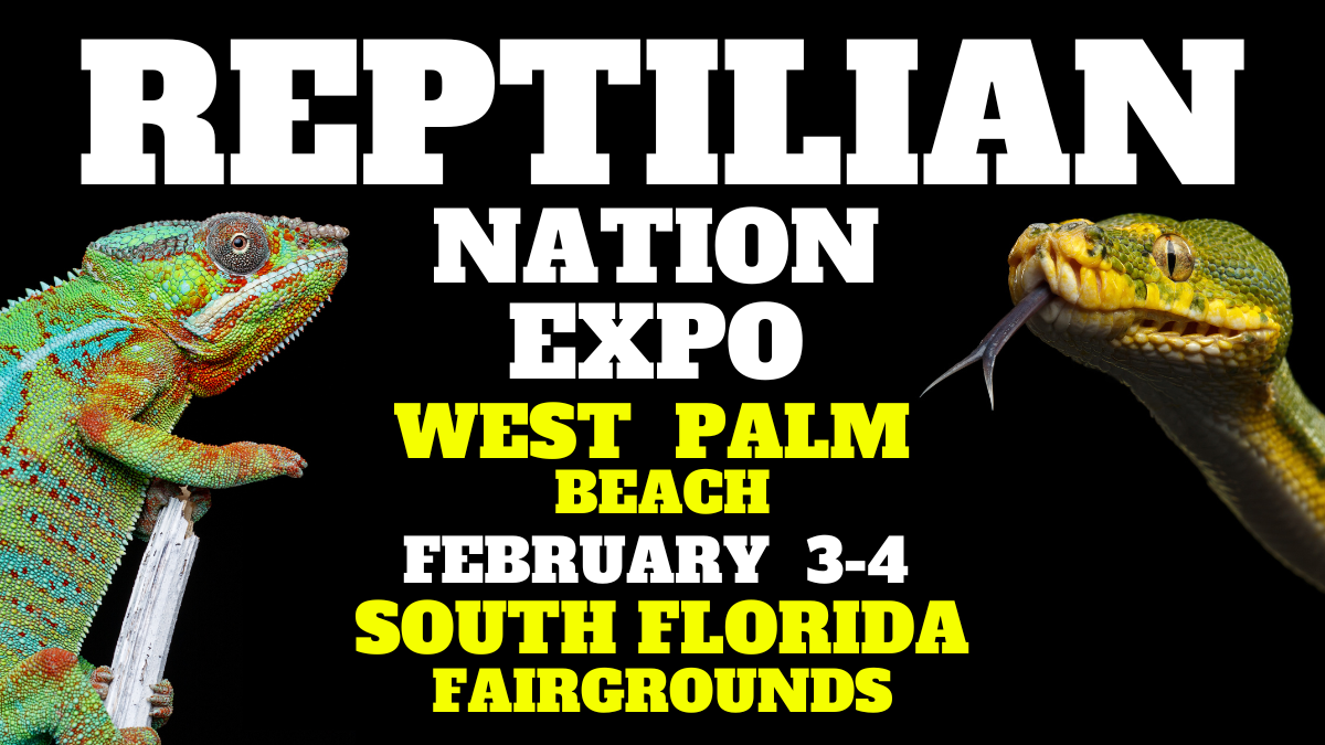 REPTILIAN NATION EXPO WEST PALM BEACH Information