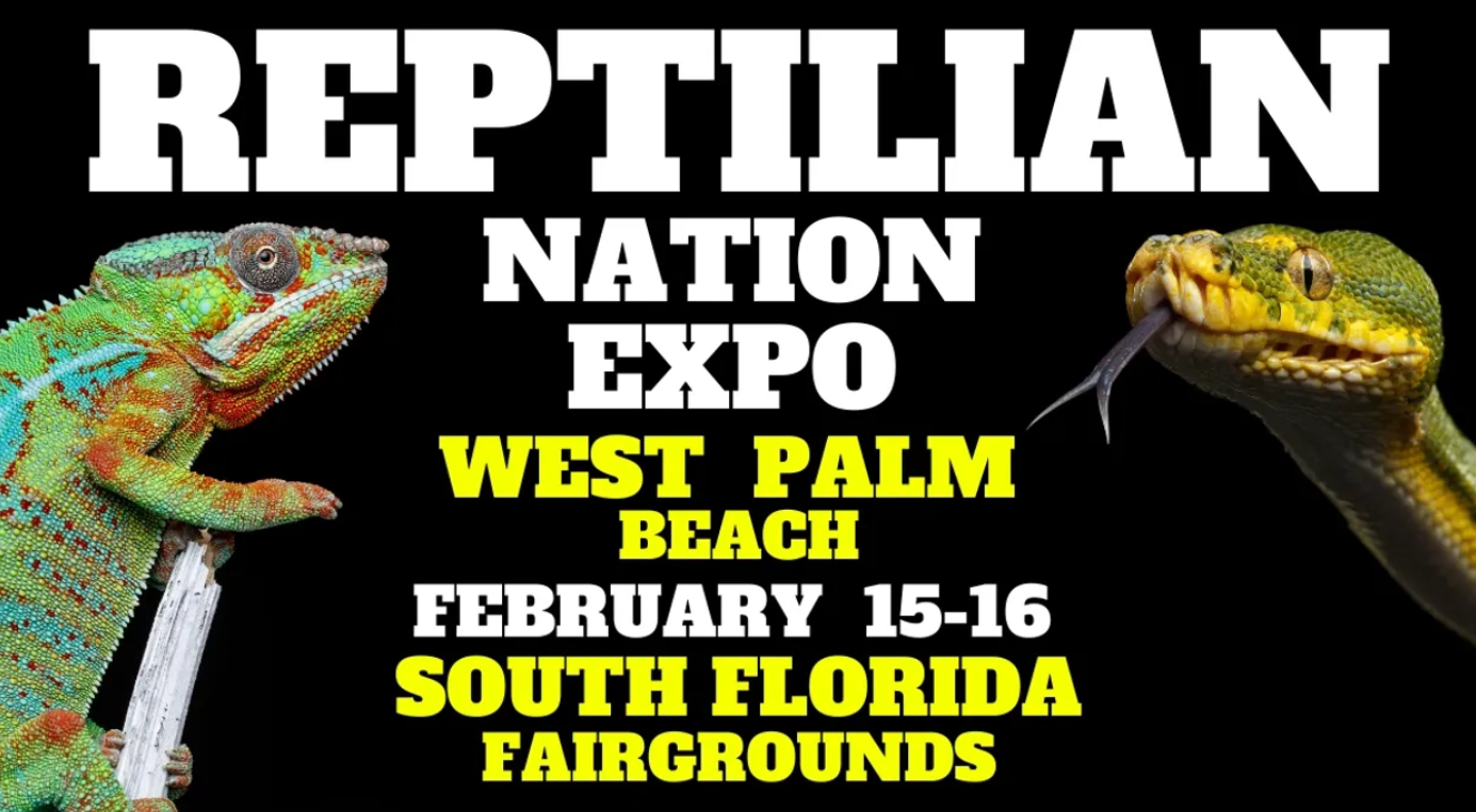 Event Flyer
