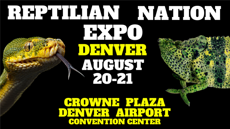 Get Information and buy tickets to REPTILIAN NATION EXPO -DENVER  on Reptilian Nation Expo