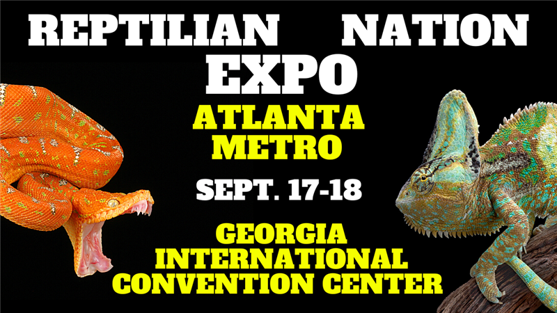 Get Information and buy tickets to REPTILIAN NATION EXPO  -ATLANTA  on Reptilian Nation Expo