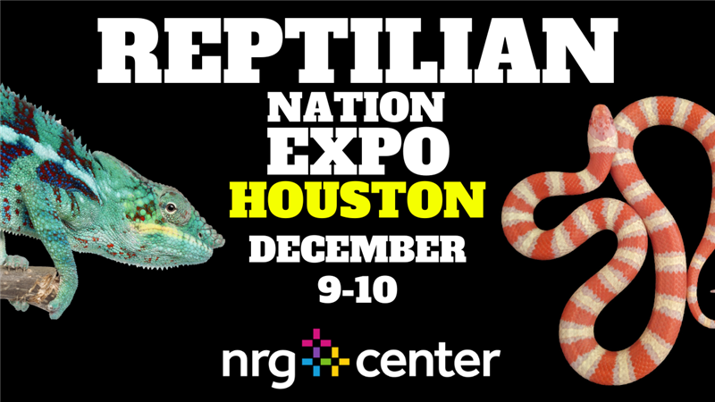 Get Information and buy tickets to REPTILIAN NATION EXPO - HOUSTON  on Reptilian Nation Expo