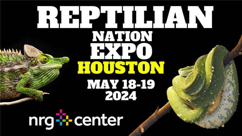 Get Information and buy tickets to REPTILIAN NATION EXPO - HOUSTON  on Reptilian Nation Expo