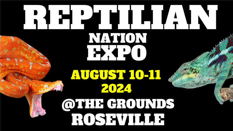 Get Information and buy tickets to REPTILIAN NATION EXPO - ROSEVILLE  on Reptilian Nation Expo