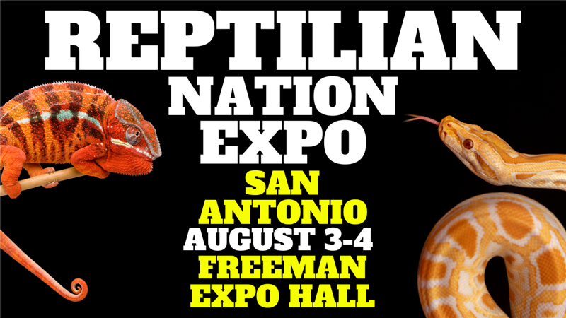 Get Information and buy tickets to REPTILIAN NATION EXPO -SAN ANTONIO  on Reptilian Nation Expo