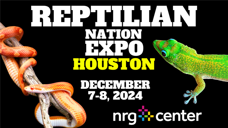 REPTILIAN NATION EXPO - HOUSTON