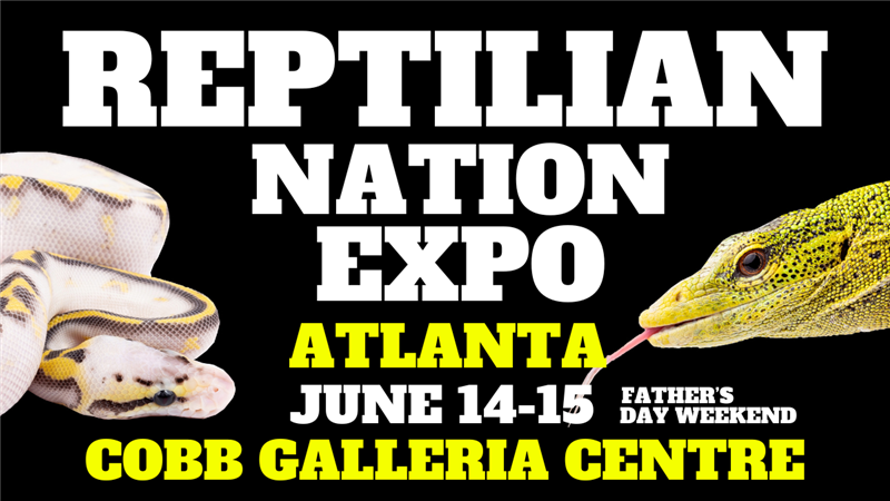 Get Information and buy tickets to REPTILIAN NATION EXPO  -ATLANTA  on Reptilian Nation Expo