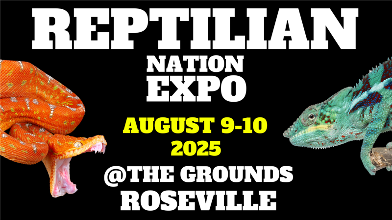 Get Information and buy tickets to REPTILIAN NATION EXPO - ROSEVILLE  on Reptilian Nation Expo