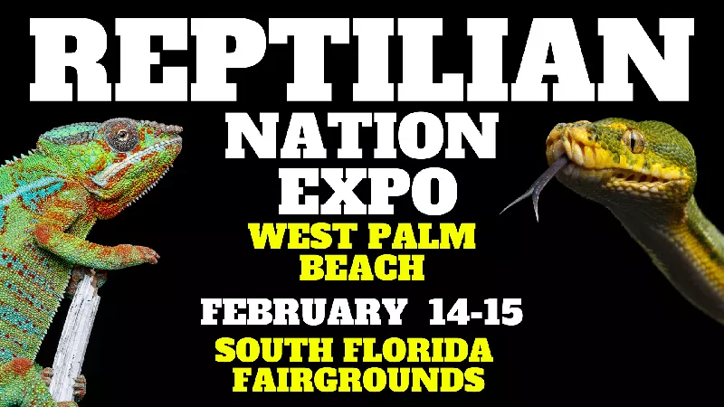REPTILIAN NATION EXPO - WEST PALM BEACH