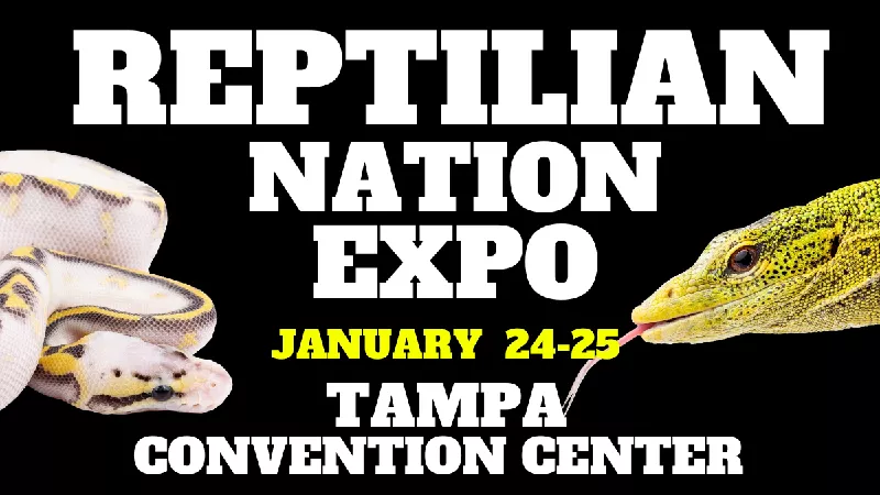 REPTILIAN NATION EXPO - TAMPA