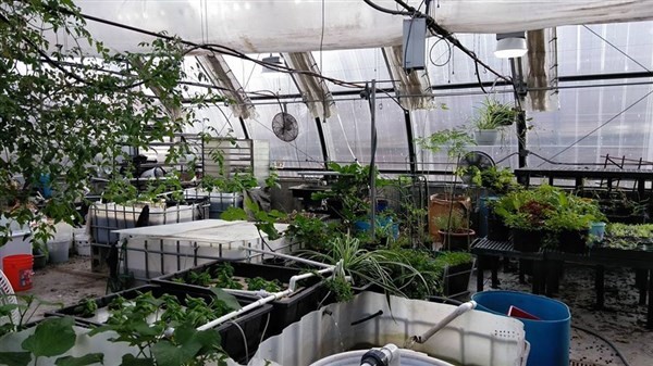 Aquaponics 101 Workshop and Farm Tour image