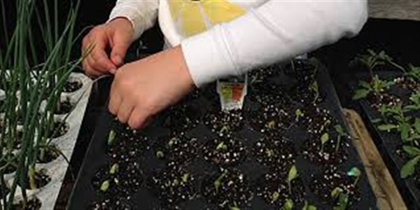Seed Starting 101 at East High School