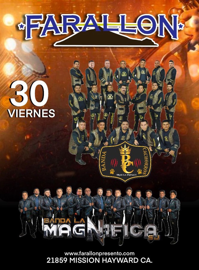 Get Information and buy tickets to BANDA LOS CACHORROS Y LA MAGNIFICA  on farallonpresenta