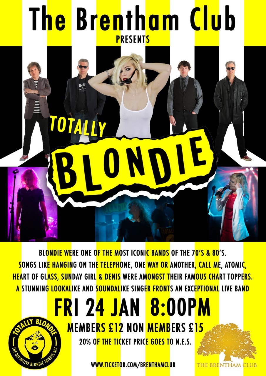 Blondie Tribute Night image