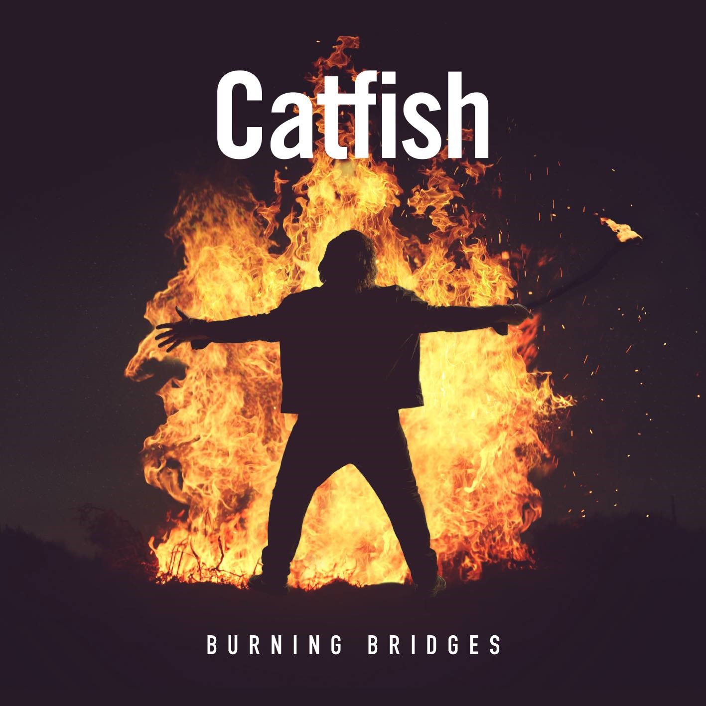Catfish image