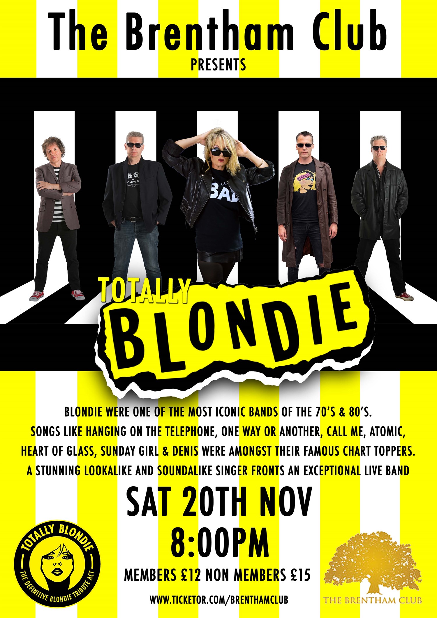 Blondie Tribute Night image