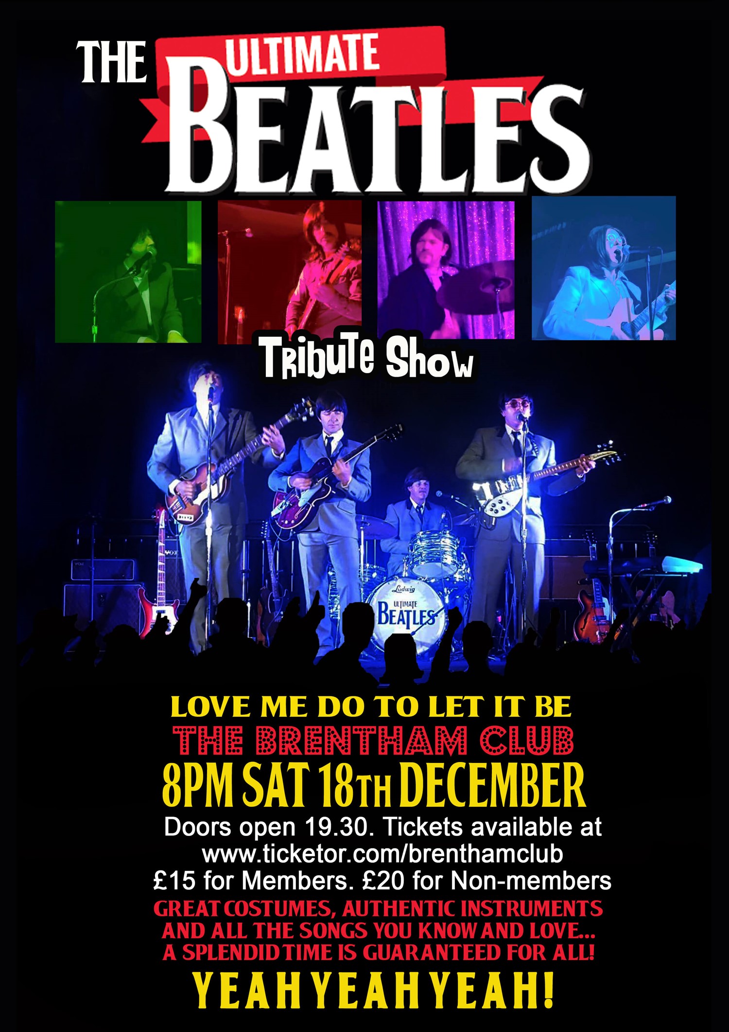Beatles Tribute Show image
