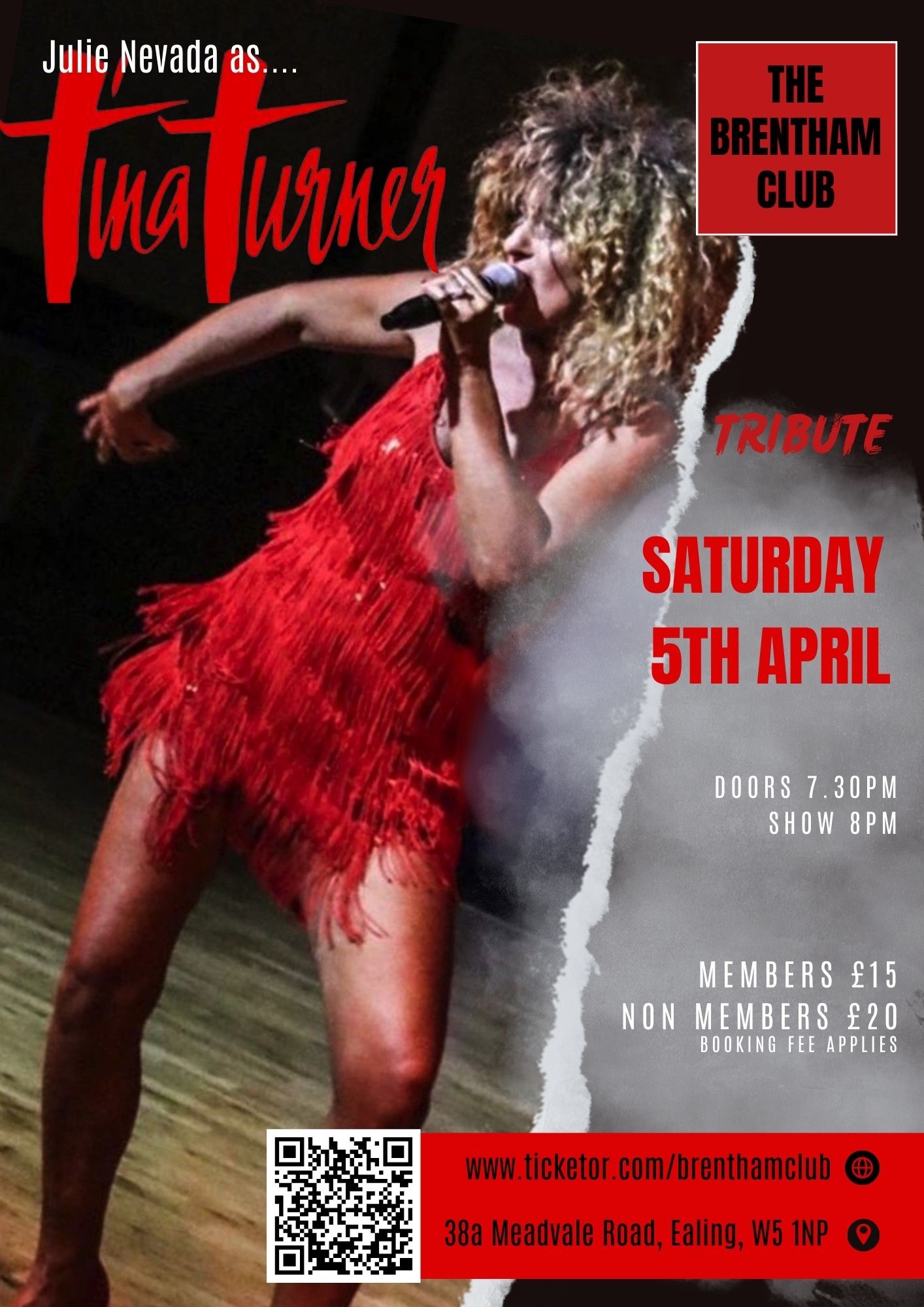 Tina Turner Tribute image