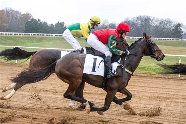 Race Night at the Brentham Club